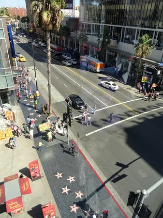 YoMovies Alternatives: Streaming Hollywood & Bollywood Safely